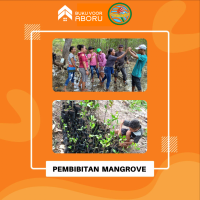 Pembibitan Mangrove