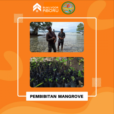 Pembibitan Mangrove